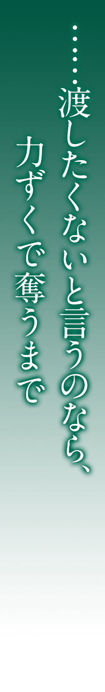 ......渡したくないと言うのなら、力ずくで奪うまで